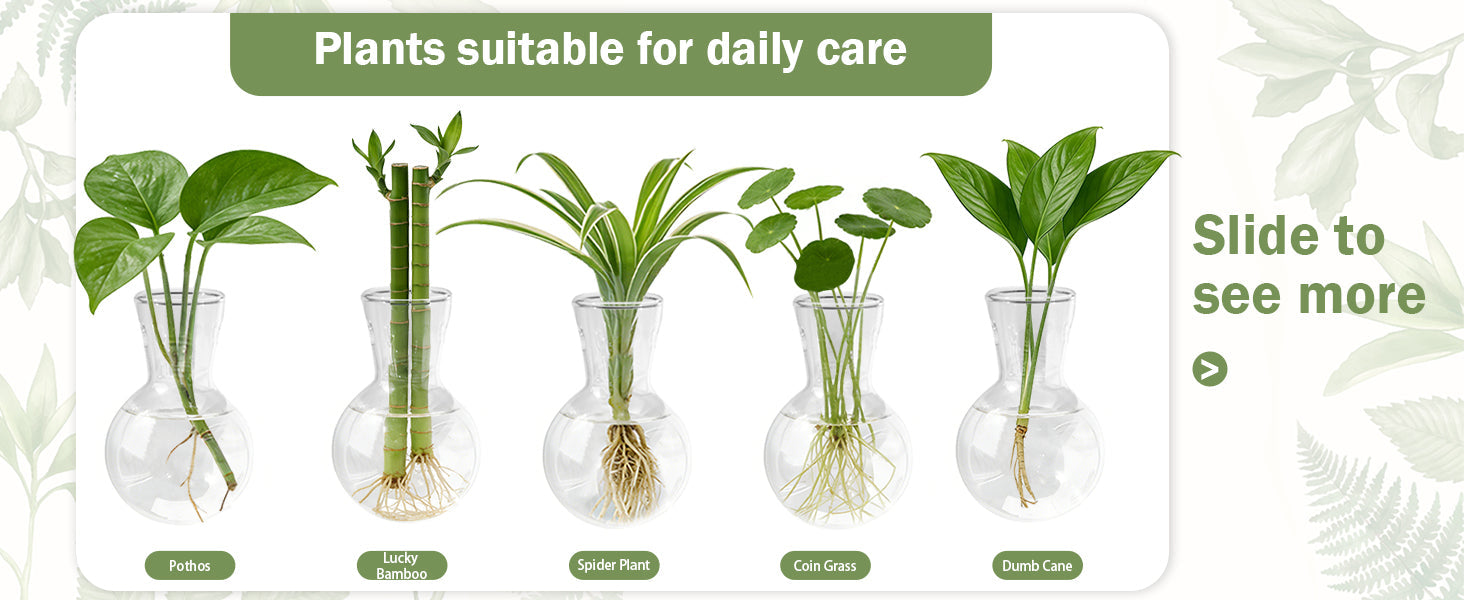 Plant Terrarium with Wooden Stand, Air Planter Bulb Glass Vase Metal Swivel Holder Retro Tabletop for Hydroponics Home Garden Office Decoration - 3 Bulb Vase